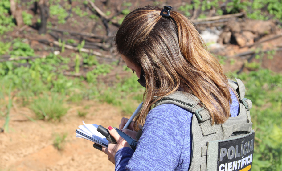 Seção de Crimes Ambientais da Polícia Científica fortalece proteção da fauna e da flora no Paraná