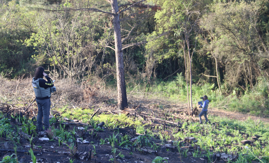 Seção de Crimes Ambientais da Polícia Científica fortalece proteção da fauna e da flora no Paraná