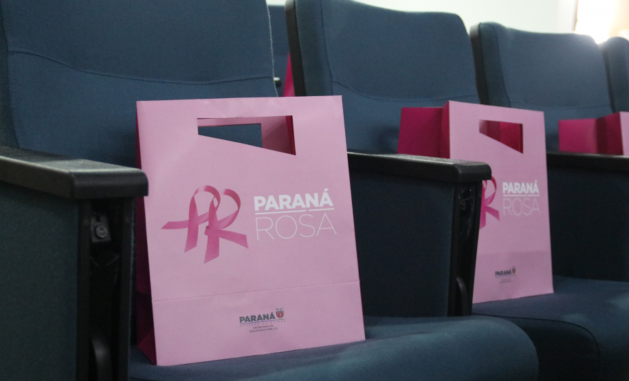 Servidoras e prestadoras de serviço vinculadas à Sesp participam da Campanha Paraná Rosa