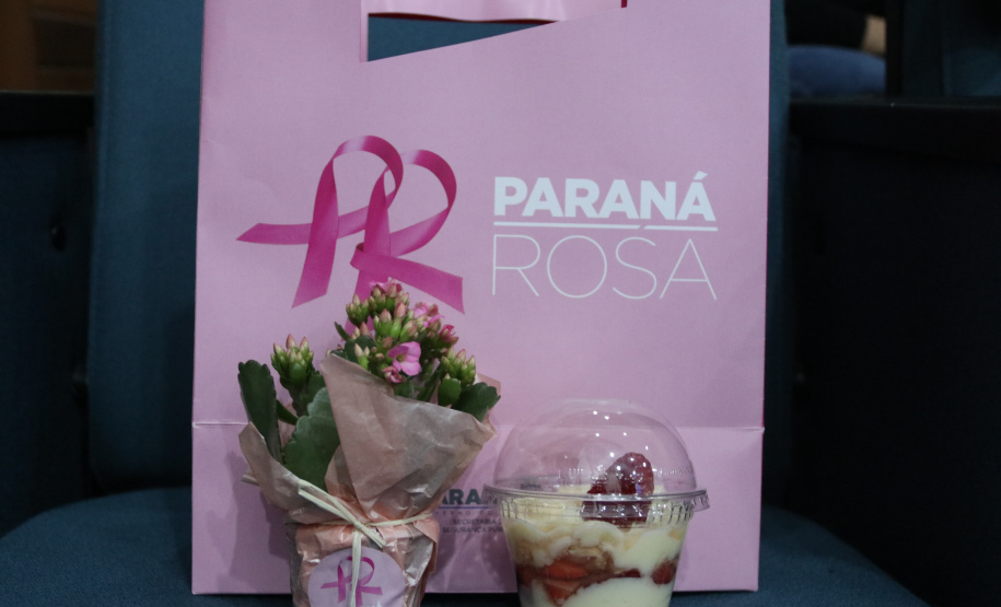 Servidoras e prestadoras de serviço vinculadas à Sesp participam da Campanha Paraná Rosa