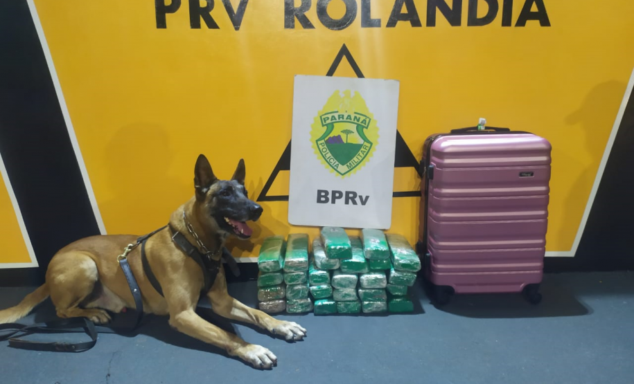 Excesso de velocidade e acidentes nas rodovias estaduais marcam feriadão