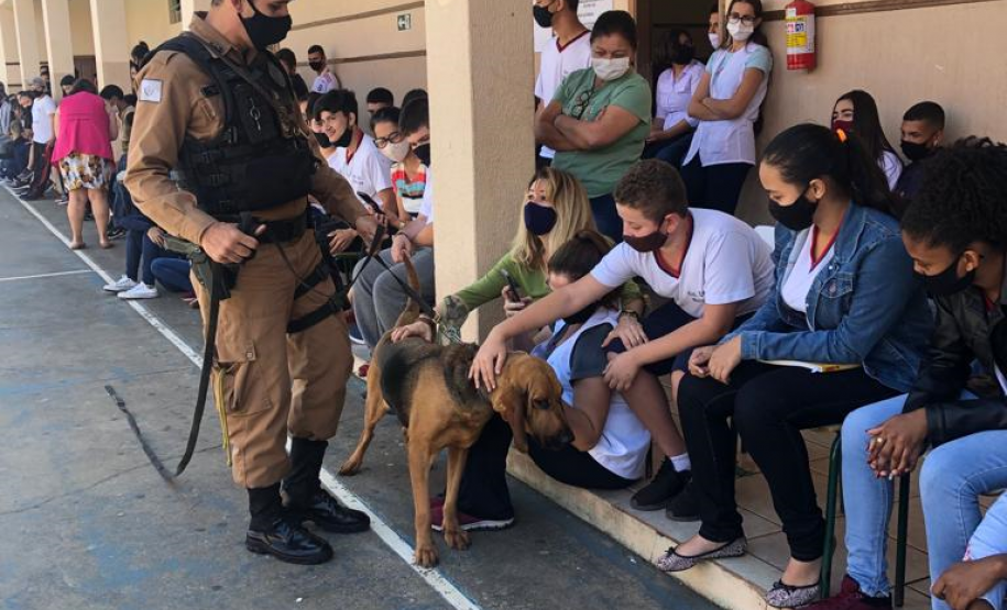 Equipe de Operações com Cães participa de atividade em colégio em Santo Antônio da Platina (PR)