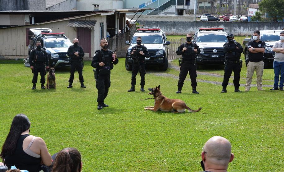 Depen-PR organiza campanha e entrega brinquedos para crianças em Piraquara