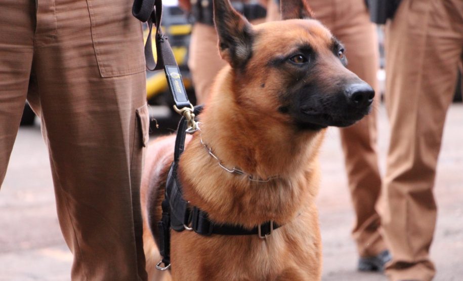 Operação Fecha Quartel amplia presença ostensiva da PM na Capital e no Interior