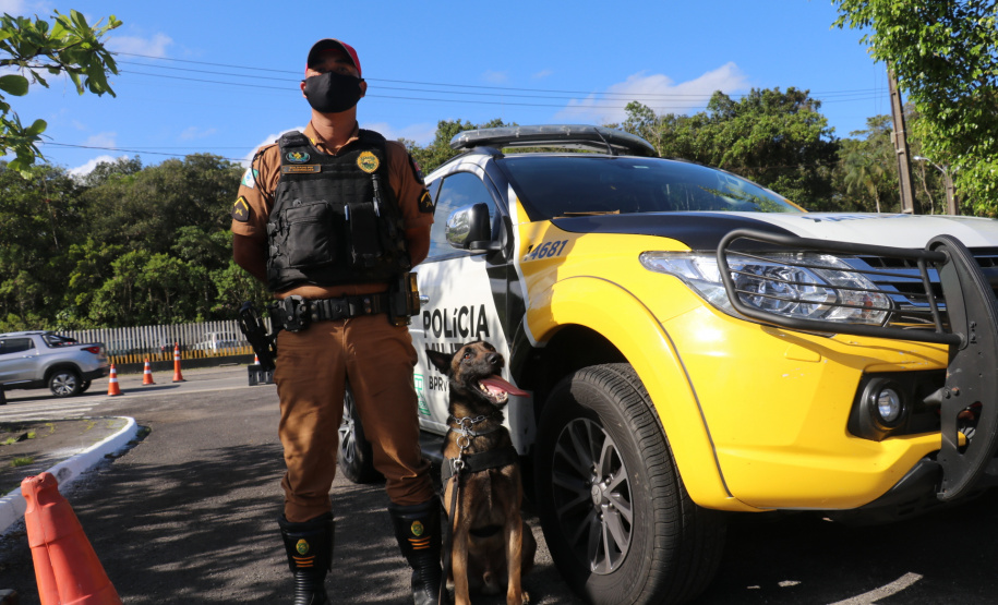 Polícia Rodoviária utiliza cães de faro contra o tráfico de drogas no Litoral