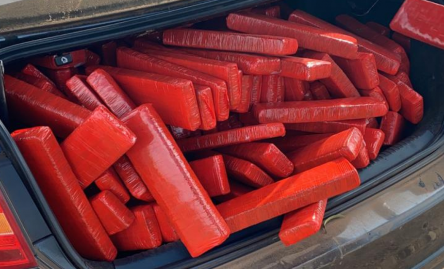 No Paraná, 219 toneladas de drogas foram apreendidas nos primeiros nove meses do ano