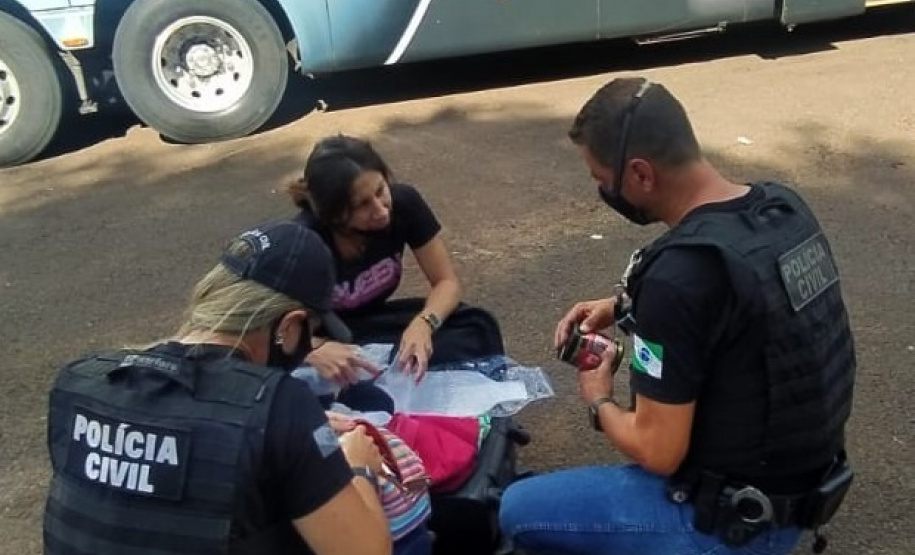 Polícia Civil mantém policiamento especializado nas rodovias durante a temporada