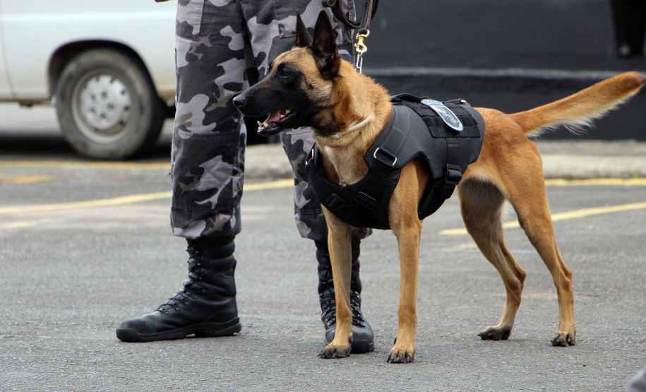 Canil do BPChoque comemora 50 anos de criação com entrega de medalhas em Curitiba