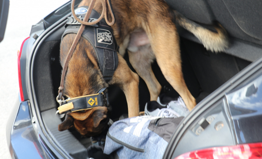 No Litoral, Réveillon 2022 terá grande esquema de segurança da Polícia Militar