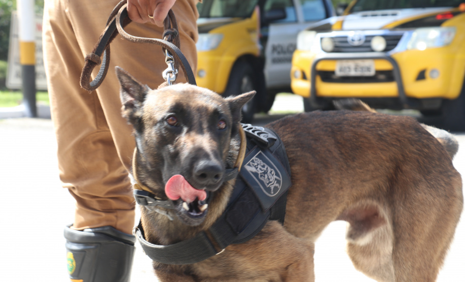 No Litoral, Réveillon 2022 terá grande esquema de segurança da Polícia Militar