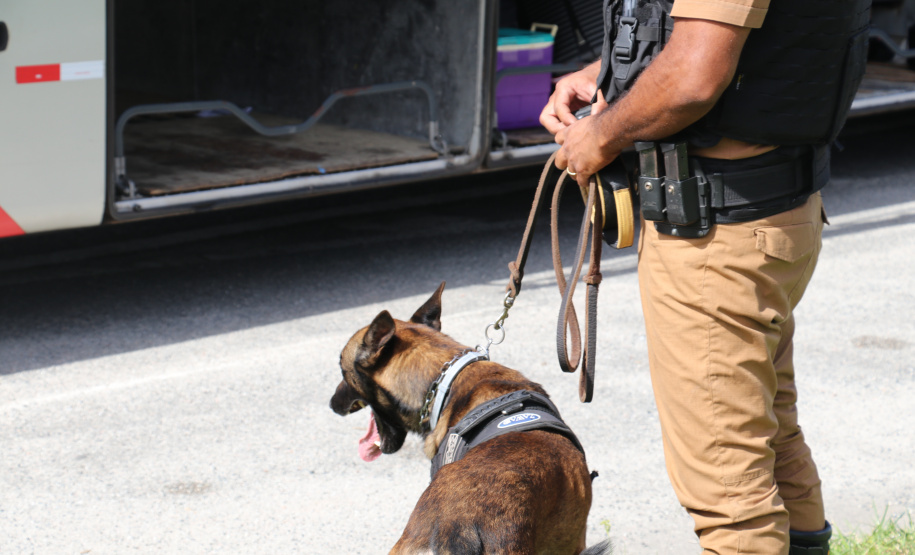 Polícia Militar Rodoviária flagra mais de 4 mil motoristas em excesso de velocidade