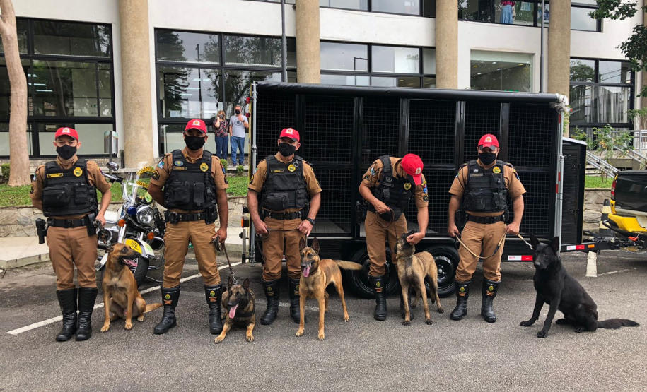 BPRv recebe cinco cães de faro e um veículo próprio para o transporte