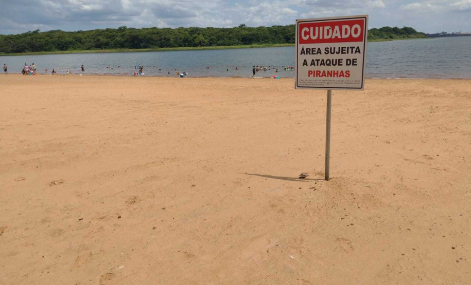 Bombeiros reforçam alertas sobre ataques de piranhas nas praias da Costa Oeste