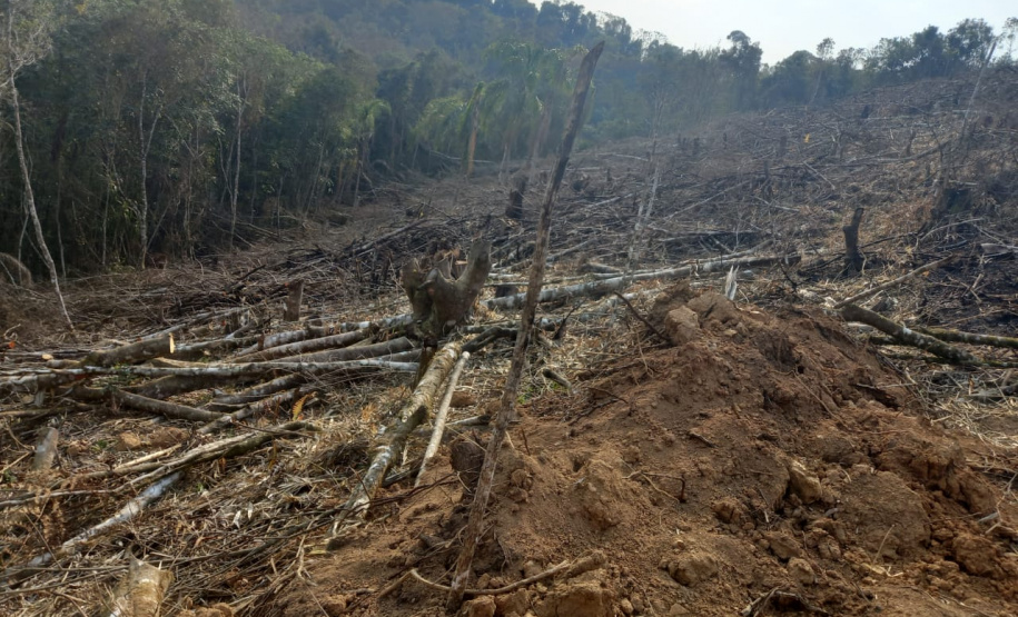 Batalhão Ambiental aplicou R$ 60,2 milhões em multas e atendeu 14 mil ocorrências em 2021