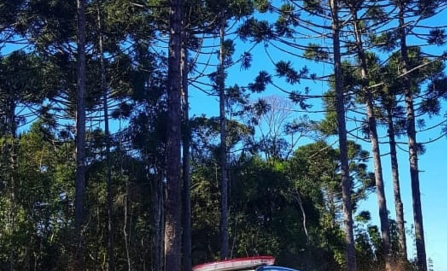 Batalhão Ambiental aplicou R$ 60,2 milhões em multas e atendeu 14 mil ocorrências em 2021