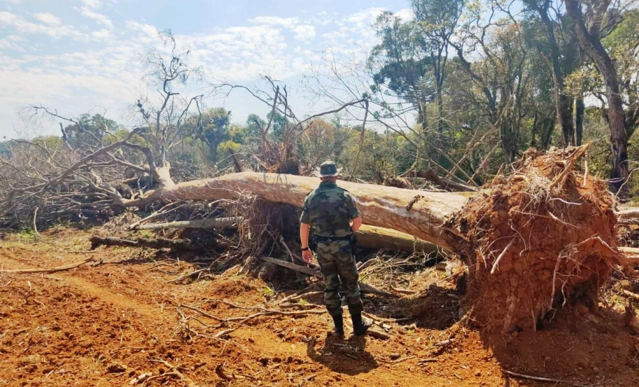 Batalhão Ambiental aplicou R$ 60,2 milhões em multas e atendeu 14 mil ocorrências em 2021