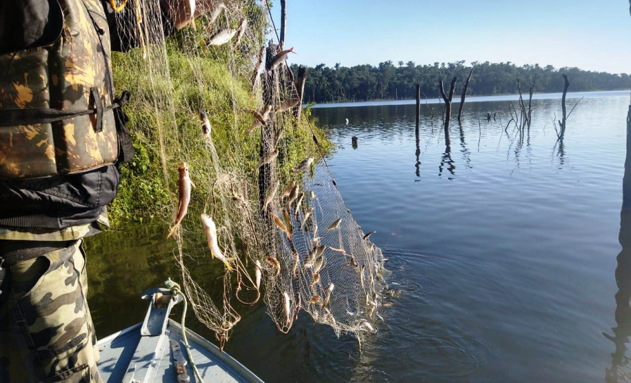 Batalhão Ambiental aplicou R$ 60,2 milhões em multas e atendeu 14 mil ocorrências em 2021