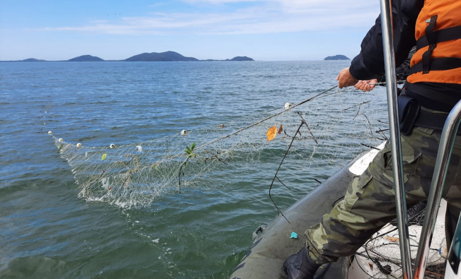 Batalhão Ambiental aplicou R$ 60,2 milhões em multas e atendeu 14 mil ocorrências em 2021