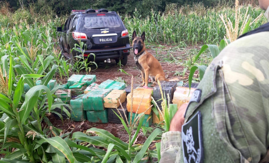  Batalhão de Fronteira quadruplica apreensão de material contrabandeado e apreende mais de 41 toneladas de drogas em 2021