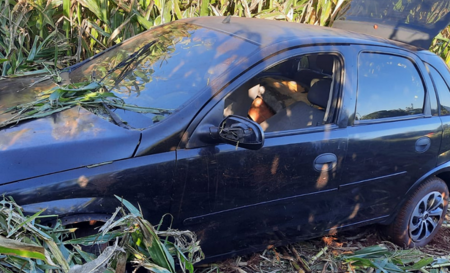 Policiais rodoviários estaduais apreendem drogas e equipamentos eletrônicos