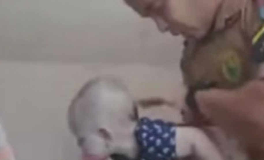 Após policiais salvarem a vida de um bebê, PM orienta sobre casos de engasgamento