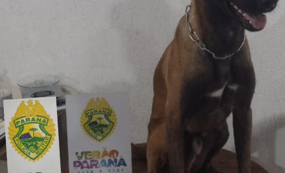 Policiais rodoviários estaduais apreendem drogas e equipamentos eletrônicos