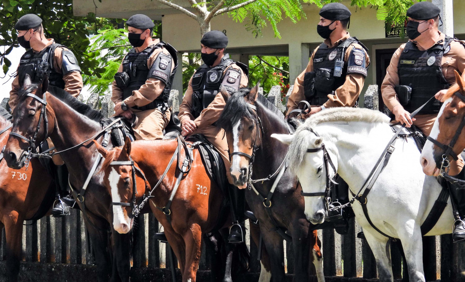link da coletiva do capitão Wagner de Araújo da Coletiva PMPR sobre o início do Carnaval