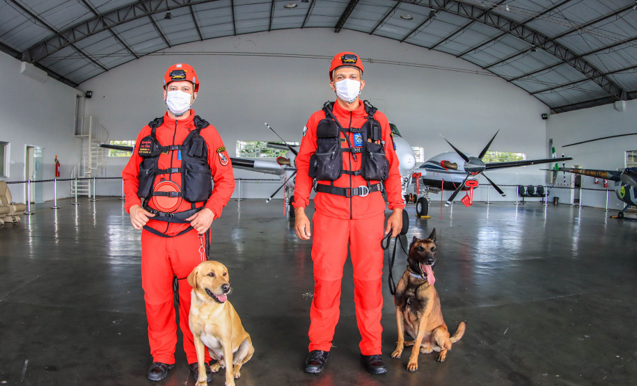 Governo do Paraná envia 10 bombeiros e quatro cães para buscas a desaparecidos em Petrópolis