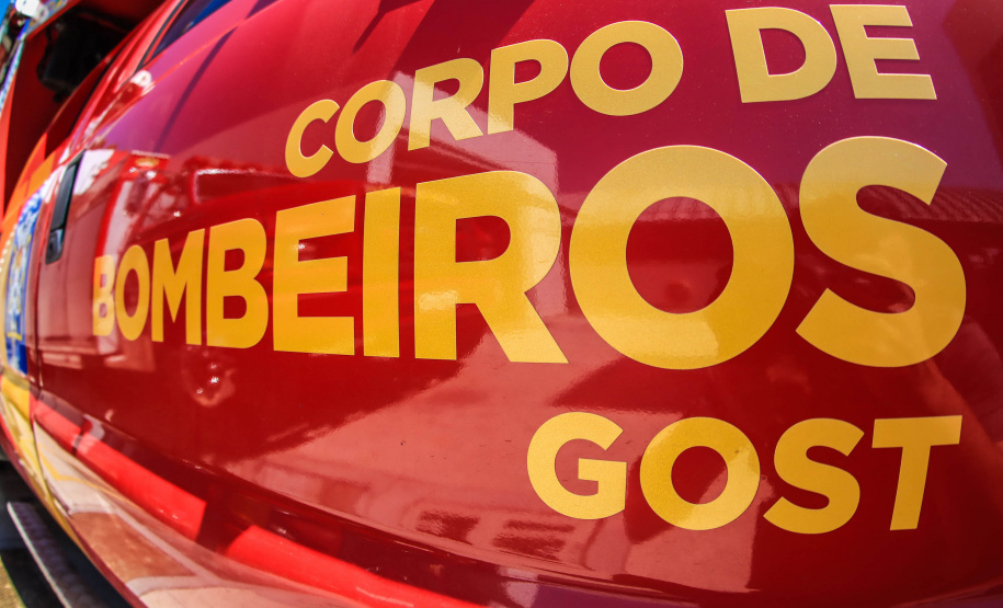 Primeiro grupo de bombeiros paranaenses e cães de faro viaja para Petrópolis