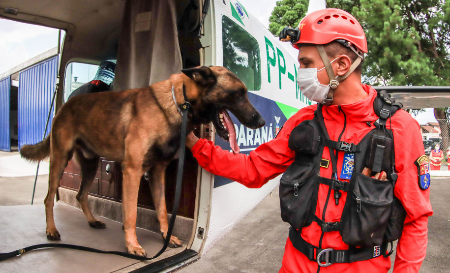 Governo do Paraná envia 10 bombeiros e quatro cães para buscas a desaparecidos em Petrópolis