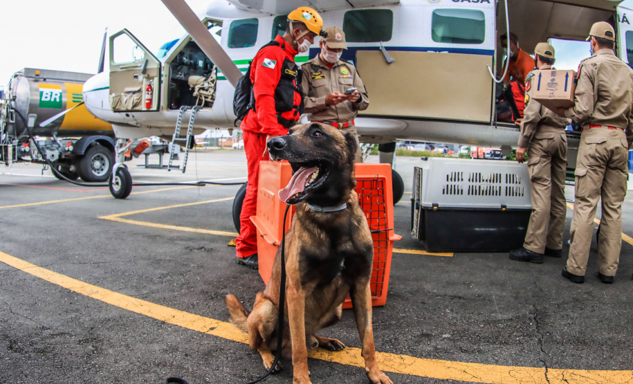 Governo do Paraná envia 10 bombeiros e quatro cães para buscas a desaparecidos em Petrópolis