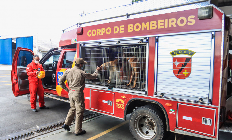 Governo do Paraná envia 10 bombeiros e quatro cães para buscas a desaparecidos em Petrópolis