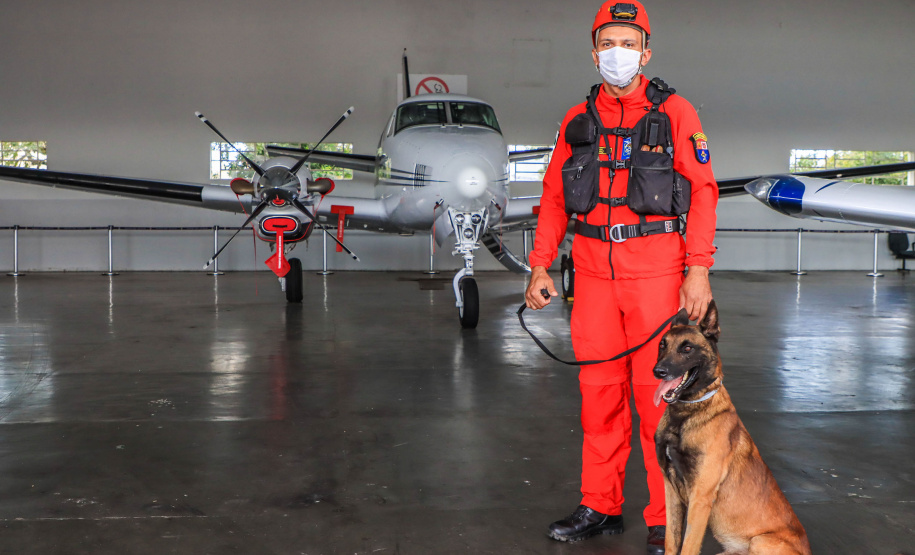 Governo do Paraná envia 10 bombeiros e quatro cães para buscas a desaparecidos em Petrópolis