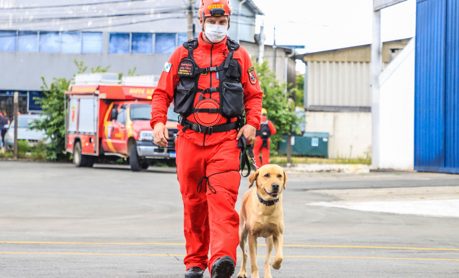 Governo do Paraná envia 10 bombeiros e quatro cães para buscas a desaparecidos em Petrópolis