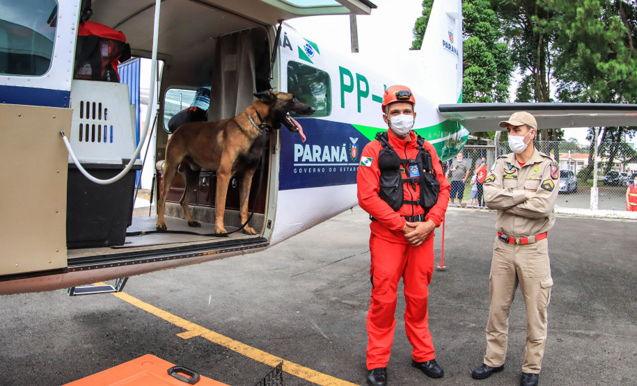 Governo do Paraná envia 10 bombeiros e quatro cães para buscas a desaparecidos em Petrópolis