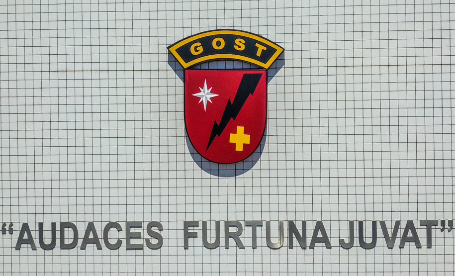 Primeiro grupo de bombeiros paranaenses e cães de faro viaja para Petrópolis