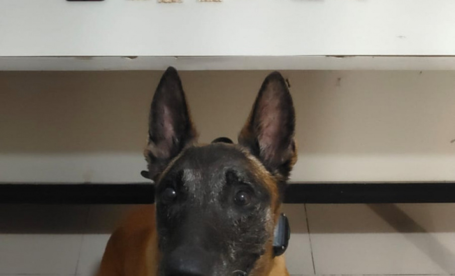 Polícia Rodoviária apreende droga e bebidas no Litoral e no Sudoeste do Paraná