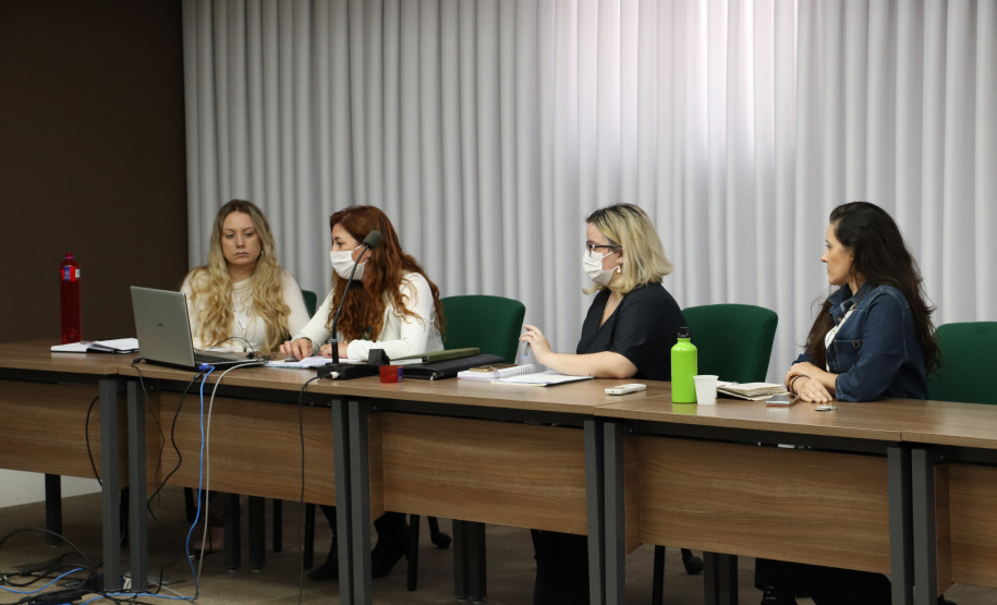 Reunião do Programa Prumos apresenta novo formulário para preenchimento de atendimentos de usuários.