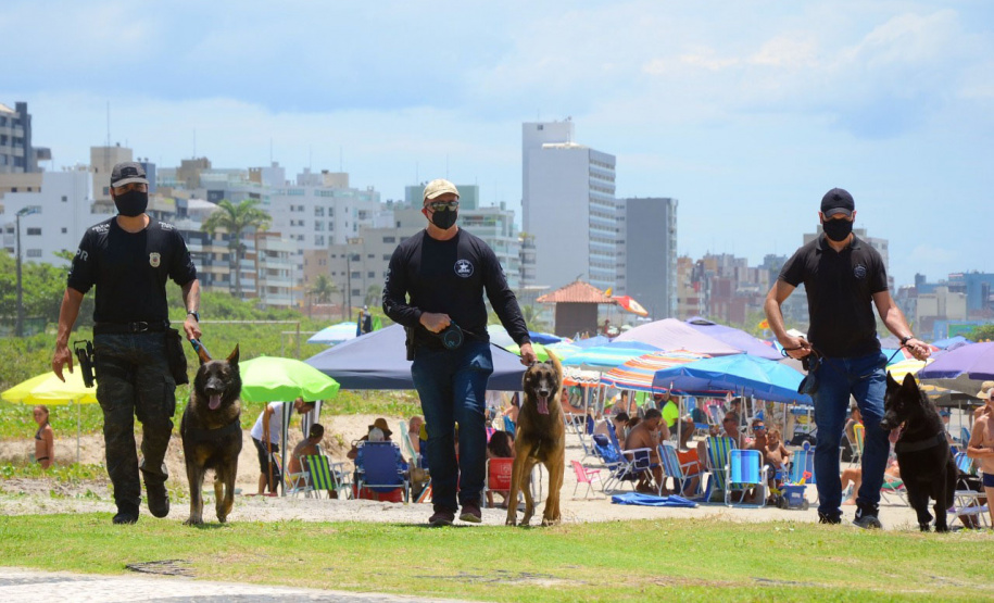 Cães que colaboraram na apreensão de 7 toneladas de drogas em 2021 viram veranistas
