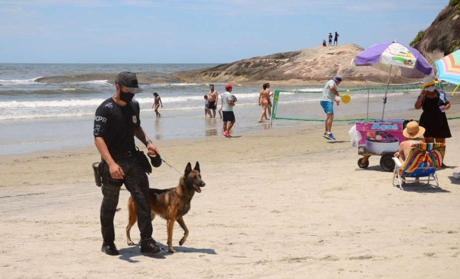Cães que colaboraram na apreensão de 7 toneladas de drogas em 2021 viram veranistas