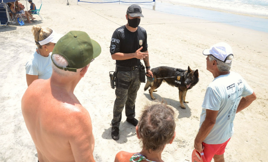 Cães que colaboraram na apreensão de 7 toneladas de drogas em 2021 viram veranistas