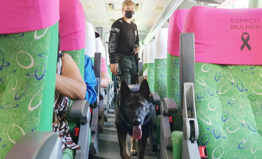 Polícia Civil faz fiscalização com cães policiais na rodoviária de Matinhos