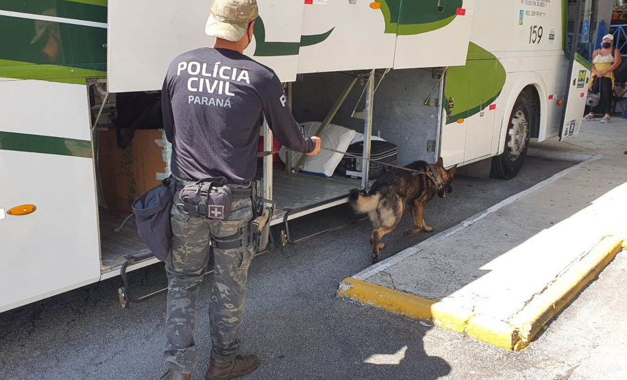 Polícia Civil faz fiscalização com cães policiais na rodoviária de Matinhos