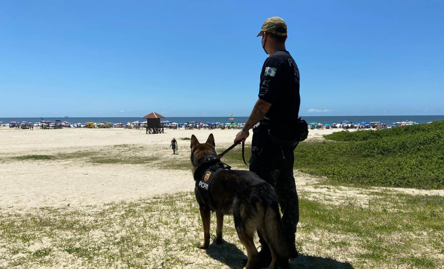 Polícia Civil faz fiscalização com cães policiais na rodoviária de Matinhos