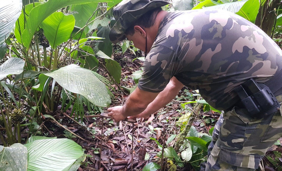 Batalhão de Polícia Ambiental aumenta parcerias e multas crescem R$ 19 milhões em 2 anos