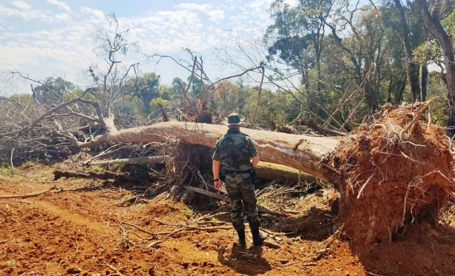 Batalhão de Polícia Ambiental aumenta parcerias e multas crescem R$ 19 milhões em 2 anos