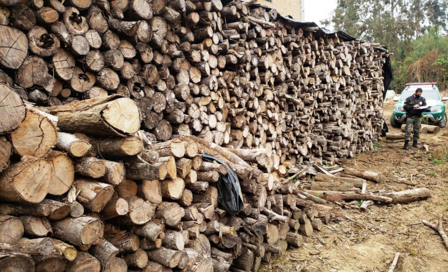 Batalhão de Polícia Ambiental aumenta parcerias e multas crescem R$ 19 milhões em 2 anos
