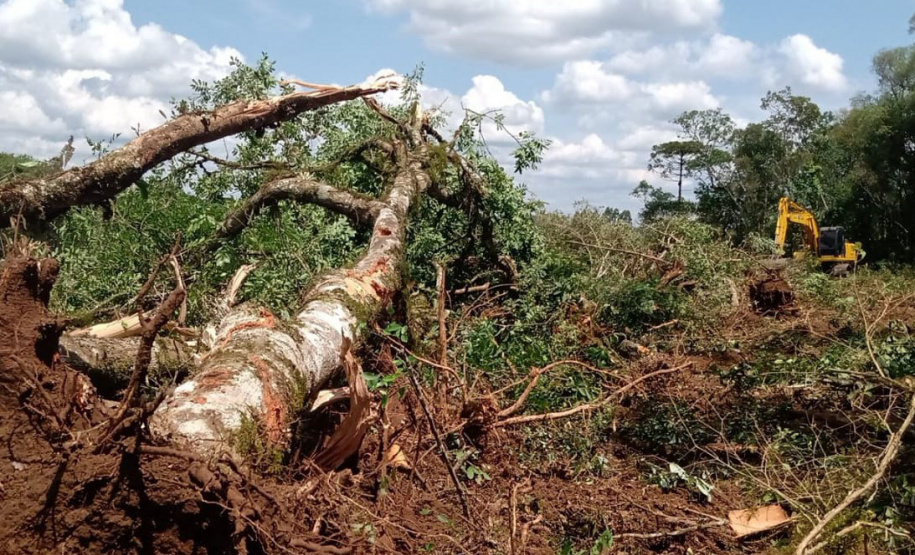 Batalhão de Polícia Ambiental aumenta parcerias e multas crescem R$ 19 milhões em 2 anos