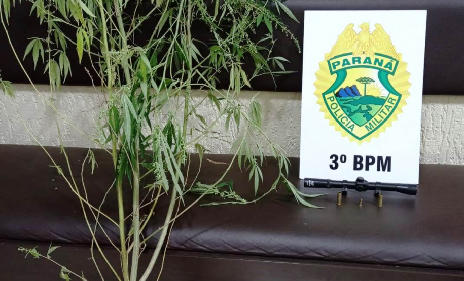 Mais de 25 mil pessoas são abordadas e 323 presas pela PM durante o Carnaval no Paraná