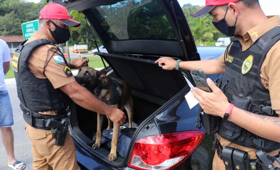 Mais de 25 mil pessoas são abordadas e 323 presas pela PM durante o Carnaval no Paraná